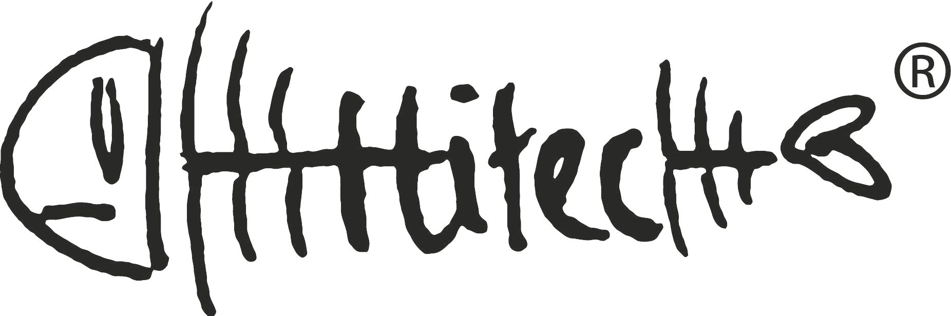 HiTec Car Logo